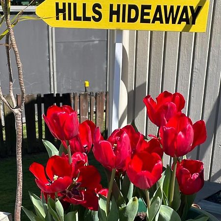 Hill'S Hideaway Hotel Dargaville Exterior photo